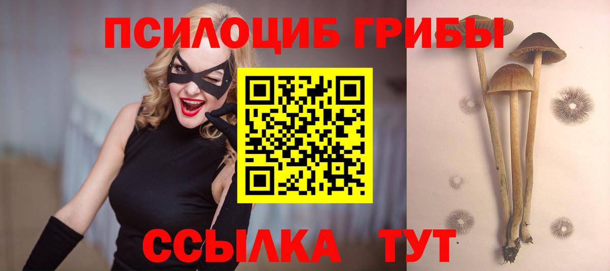 Галлюциногенные грибы Cubensis Йошкар-Ола