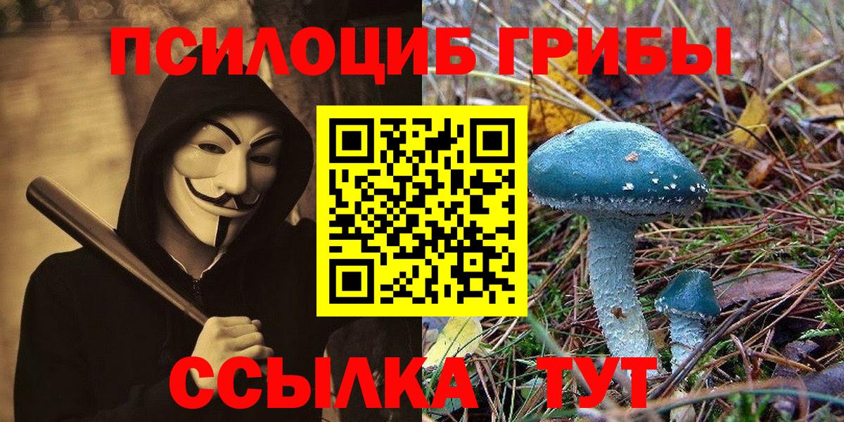 Йошкар-Ола  Галлюциногенные грибы MAGIC MUSHROOMS  Вход с VPN  Галлюциногенные грибы MAGIC MUSHROOMS 